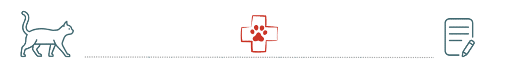 pet insurance supports preventive care at Compassion Veterinary Center in Highland NY