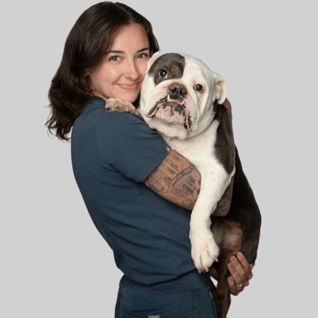 Person in blue attire holding a black and white bulldog affectionately.