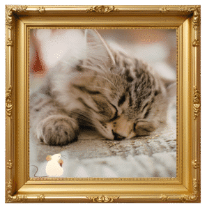 Photo of a sleeping cat in a gold picture frame for Compassion Veterinary Center in Highland, NY